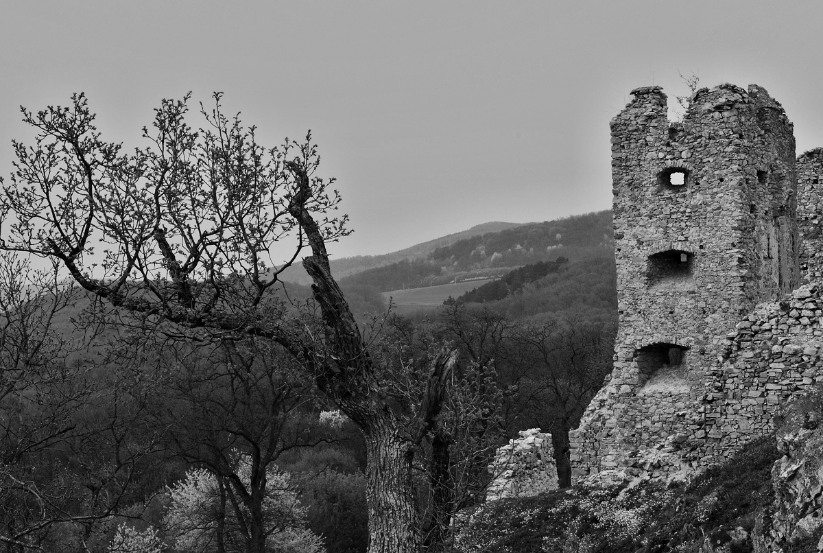 Hrušov