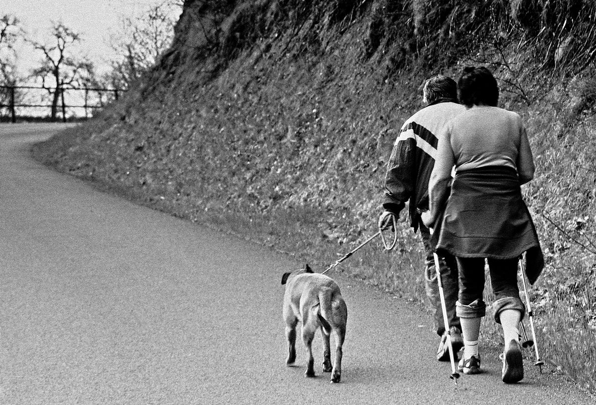 walk
