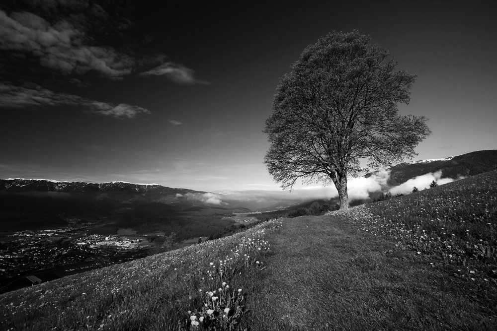 Jaro v Dolomitech n.3