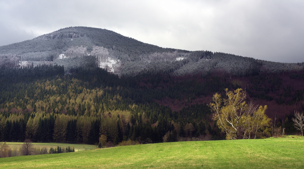 -4°C / +6°C