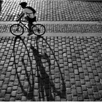 Světla stíny (VII)