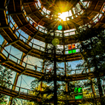 Stezka v korunách stromů