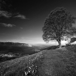 Jaro v Dolomitech n.3