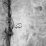 Jedenapadesát - MoML 15. dubna 2014