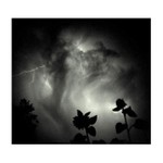 slunecnice seznamujici se s bleskem