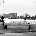 Don Kichot Park II
