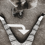 Zvláštní ptáčci v zábavním parku