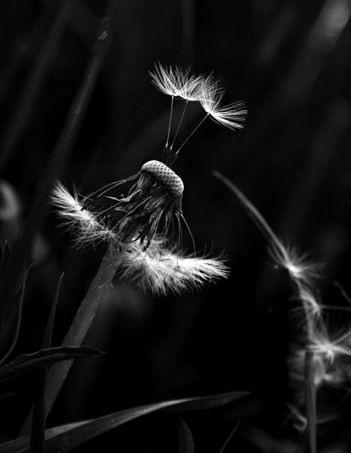 připraveny k odletu