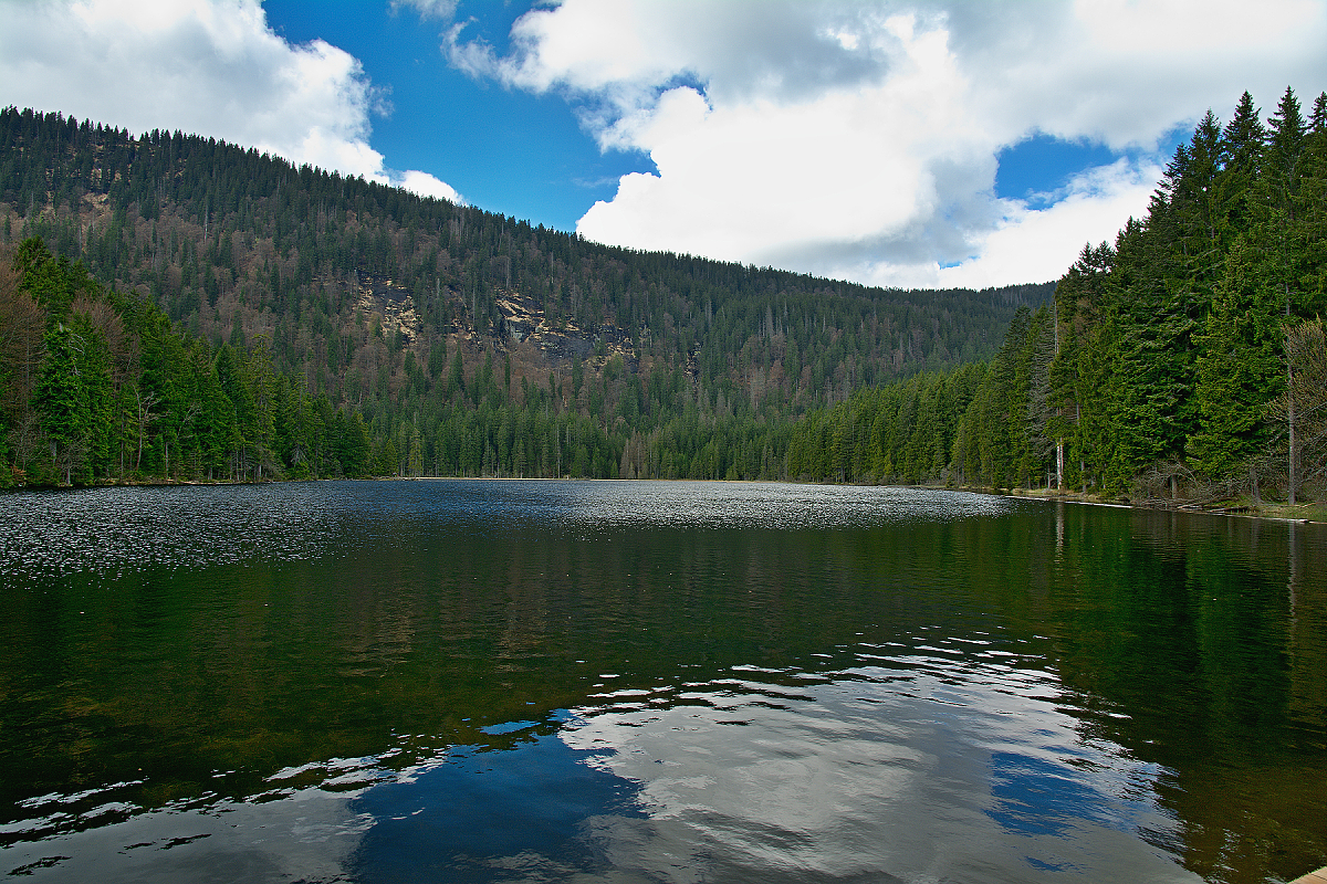 arbersee