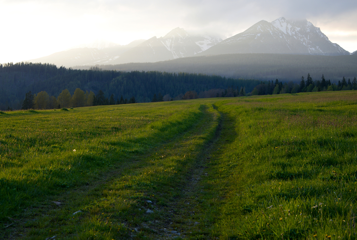 Vysoké Tatry