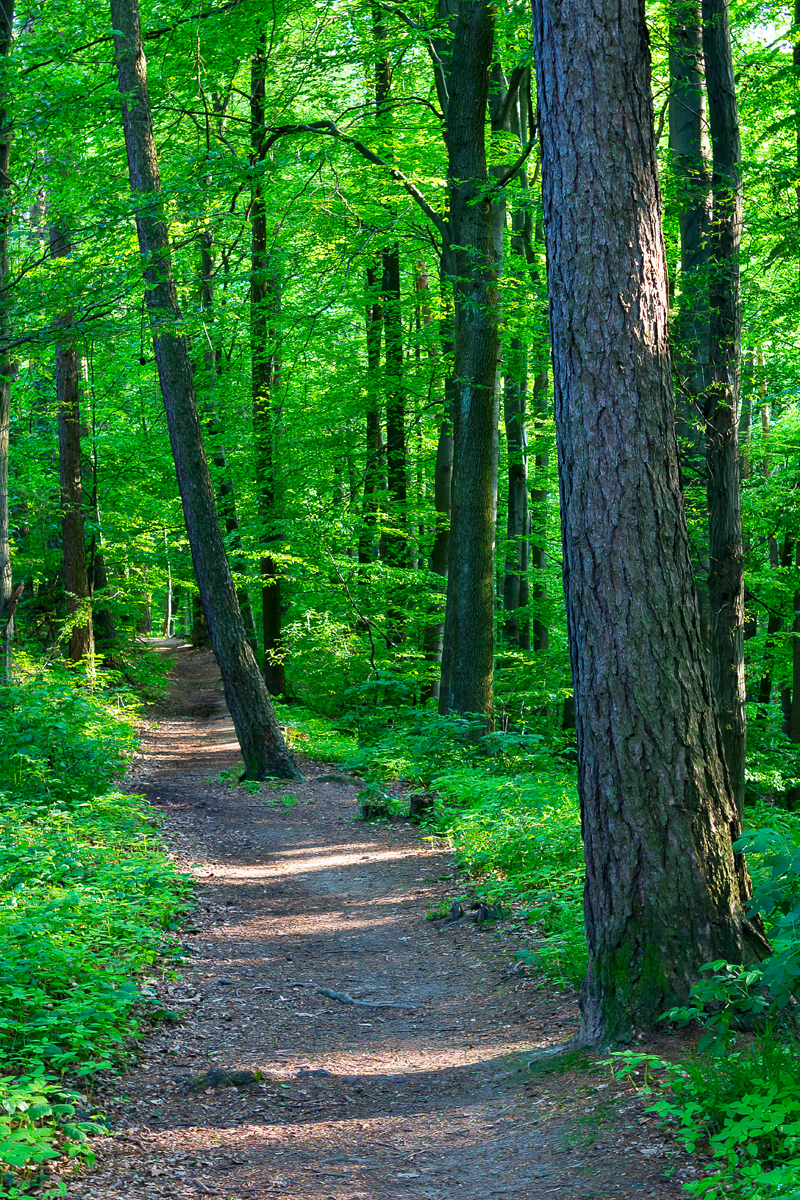 Chodník do rozprávky