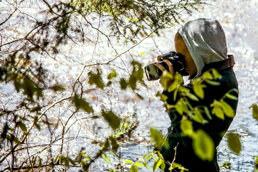 looking for detail
