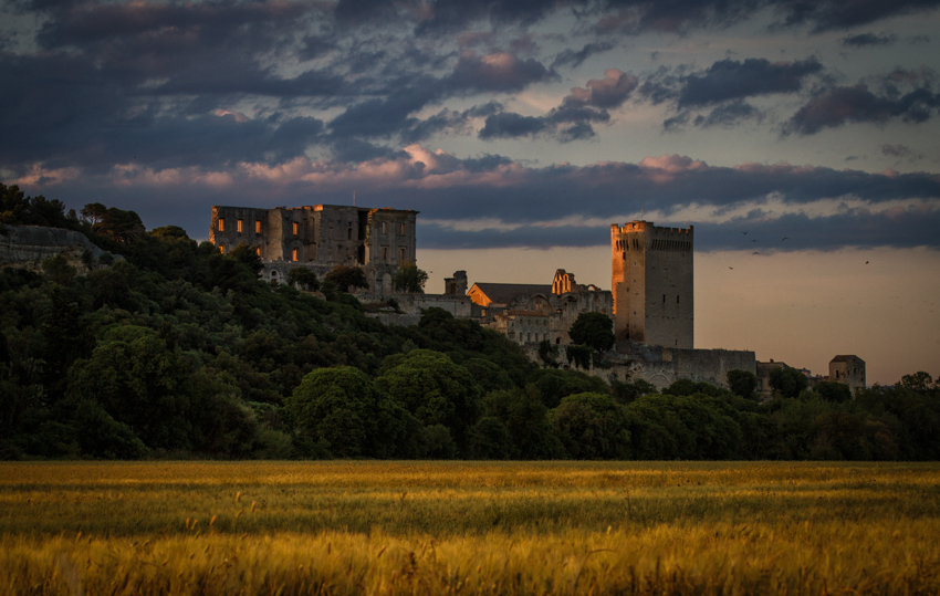 Abbeaye de Montmajour