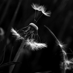 připraveny k odletu