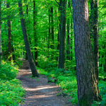 Chodník do rozprávky