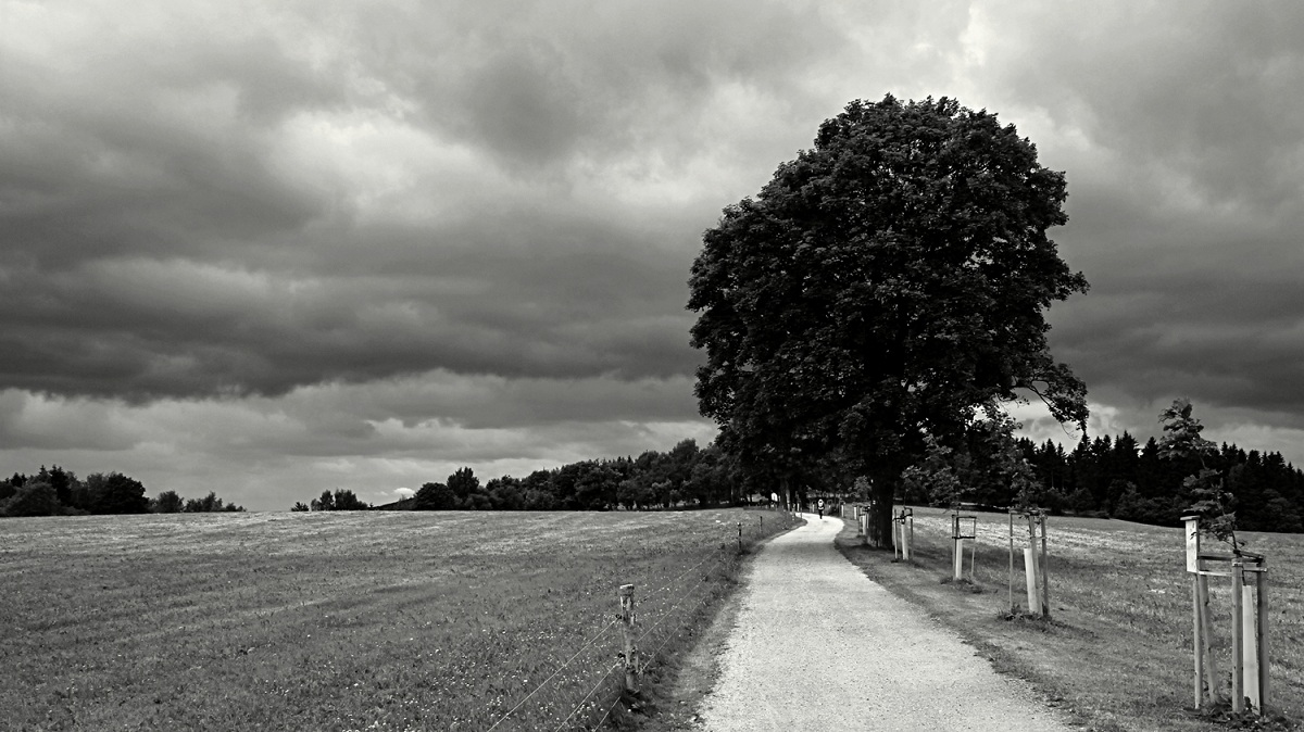 odcházení do nejistoty