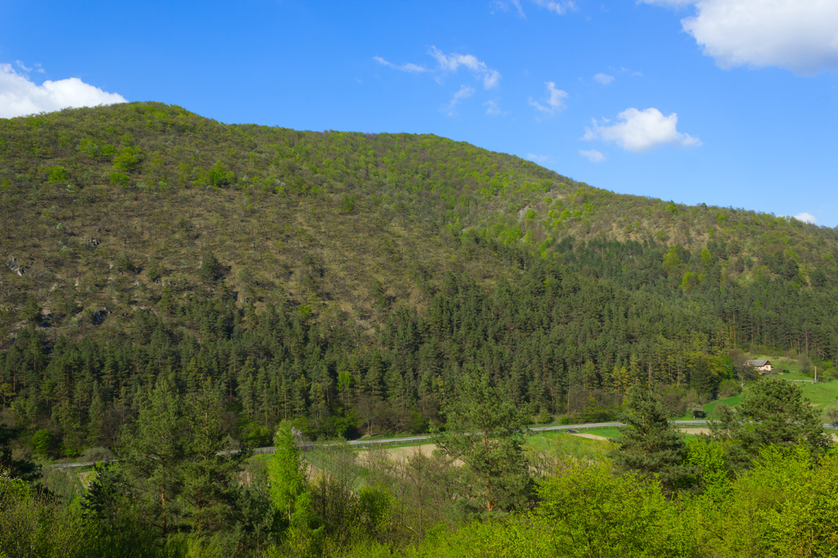 Dolina