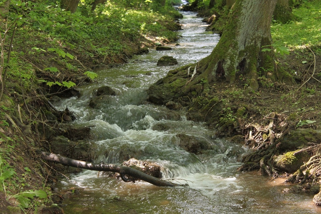  potůček