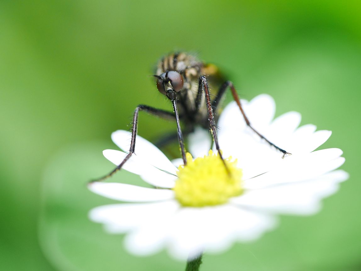 nanotechnologie ... (teda skoro :-))