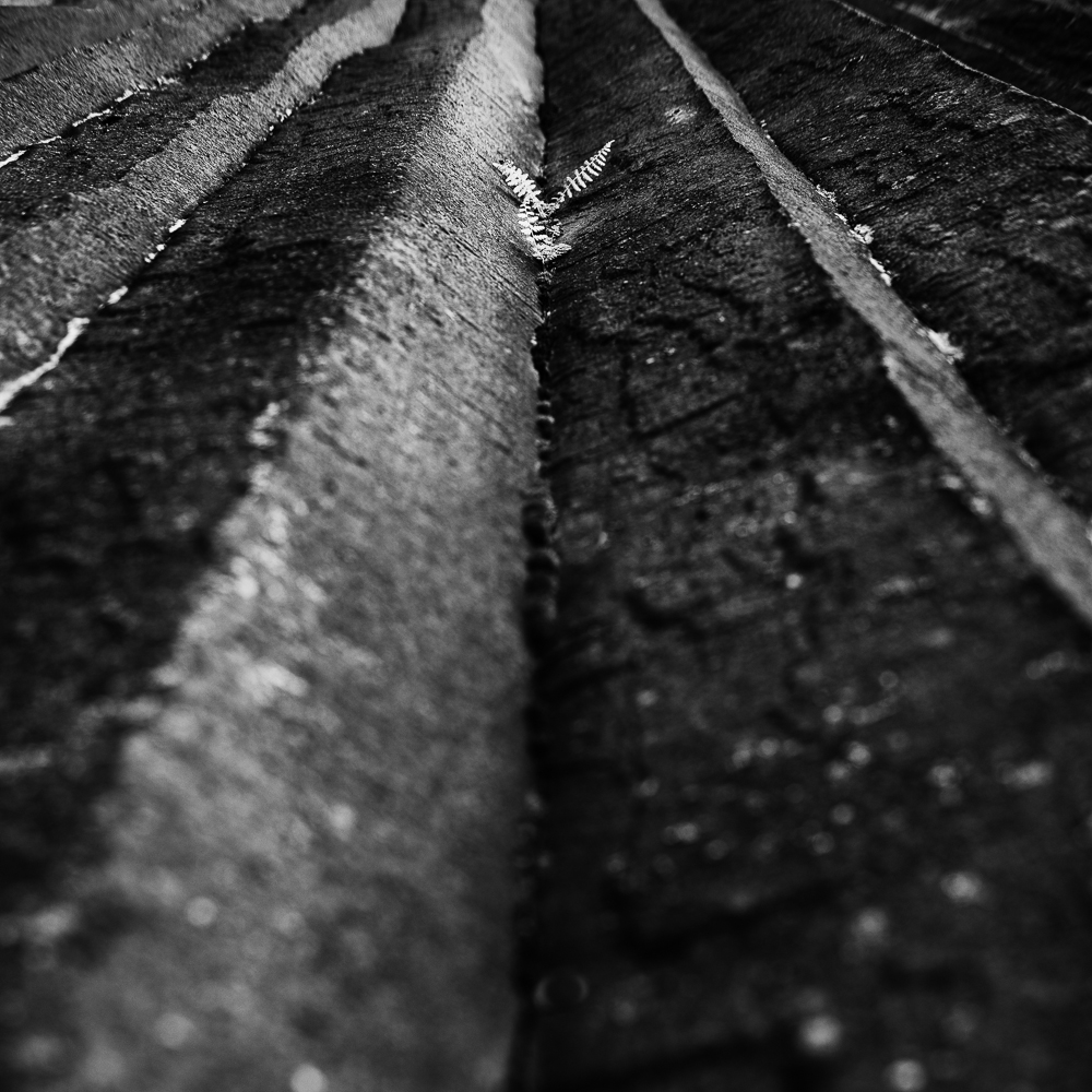 Panská skála - MoML 16. června 2014