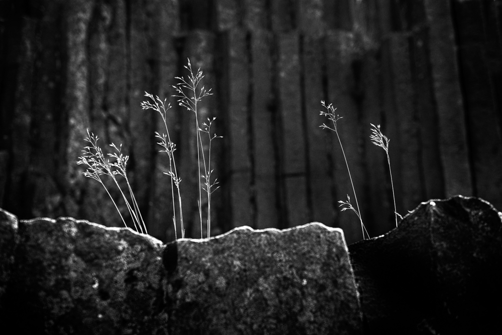 Panská skála II - MoML 17. června 2014