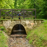 KDYŽ MUSÍŠ,TAK MUSÍŠ.