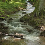  potůček