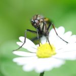 nanotechnologie ... (teda skoro :-))