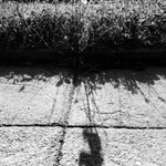 Mák je to vlčí - MoML 7. června 2014