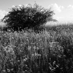 mírně energetická krajina