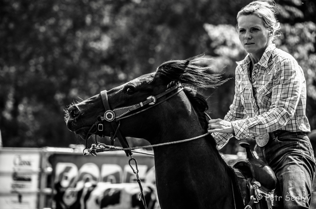 Prorodeo Tour