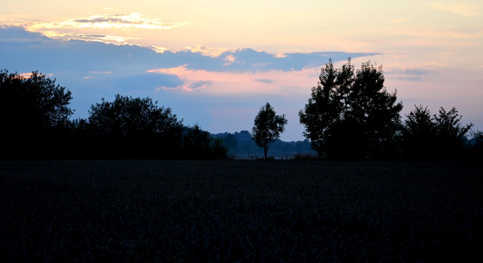 Podvečerní