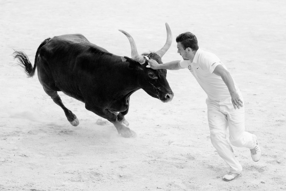 Toril #3
