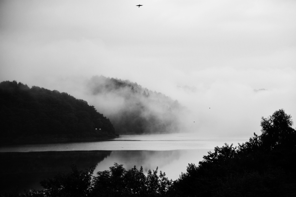 jezero N.