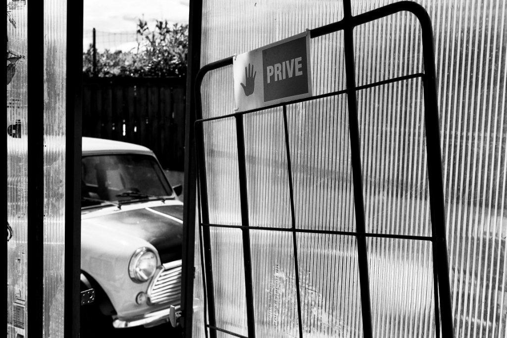 mini