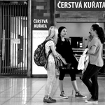 ČERSTVÁ KUŘATA