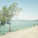 nove mlyny
