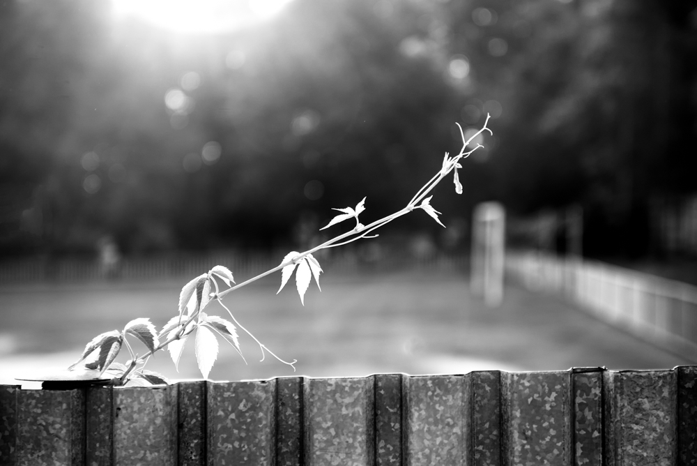 Do kotle na fotbal - MoML 22. srpna 2014