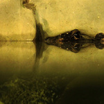 Překvápko pod hladinou