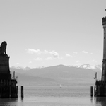 Lev zírající na maják