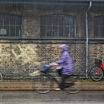 Pláštěnka v Kodani