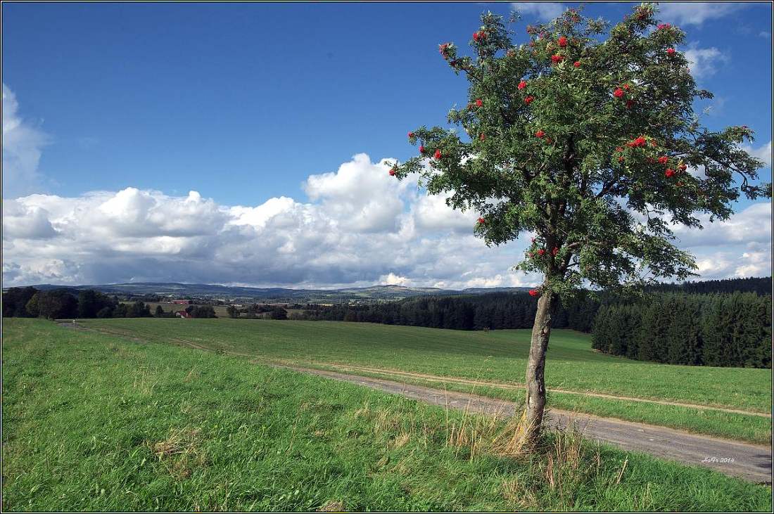 Karlovarsko