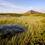 Úpské rašeliniště