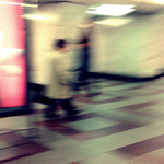 myslivec jde a náhle mu do cesty vběhne jelen