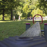 Pohľad skrz húpačku