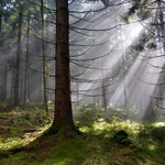 Když ticho léčí...