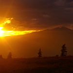 Karpaty