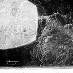 vzdaleny detail