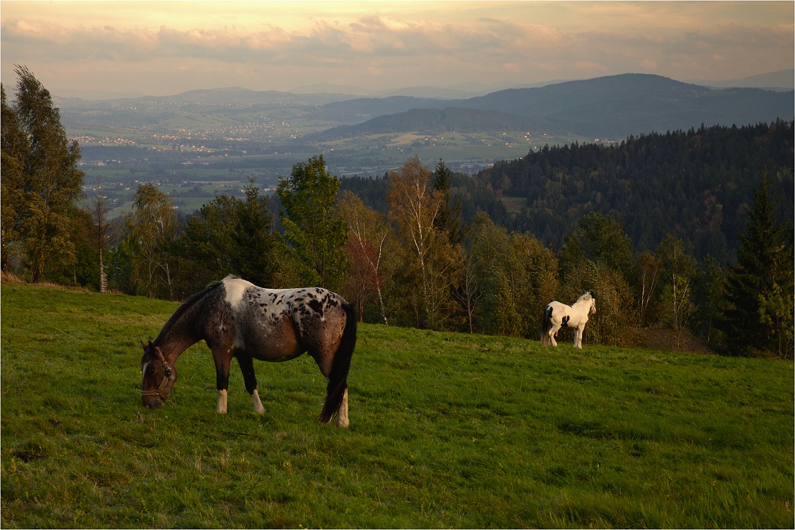 Podzimní krajina