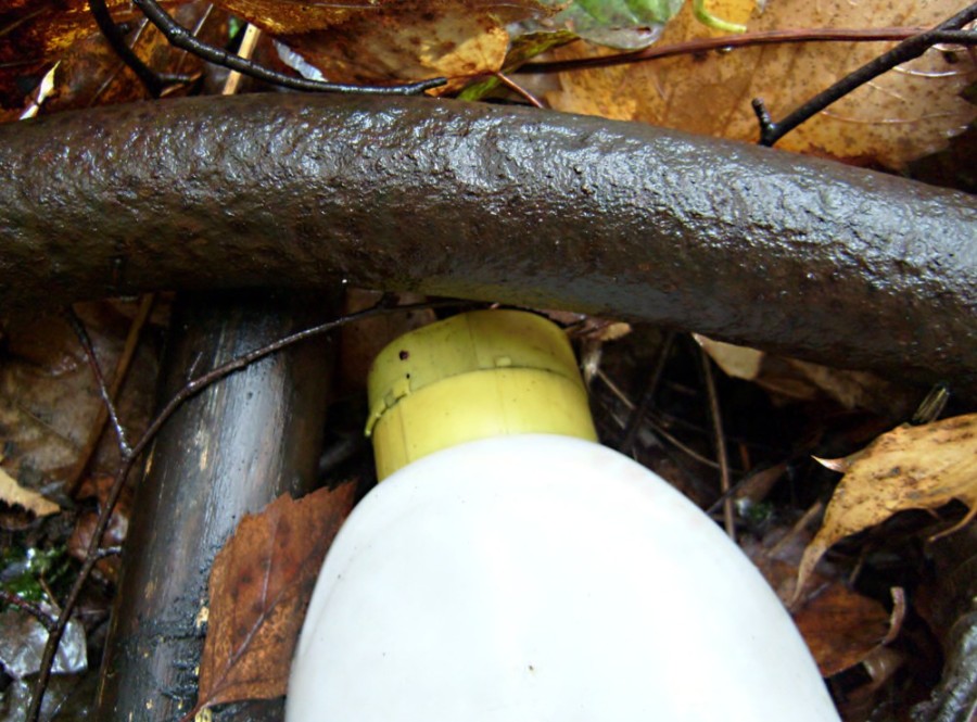 Tak si tady tak společně hnijem